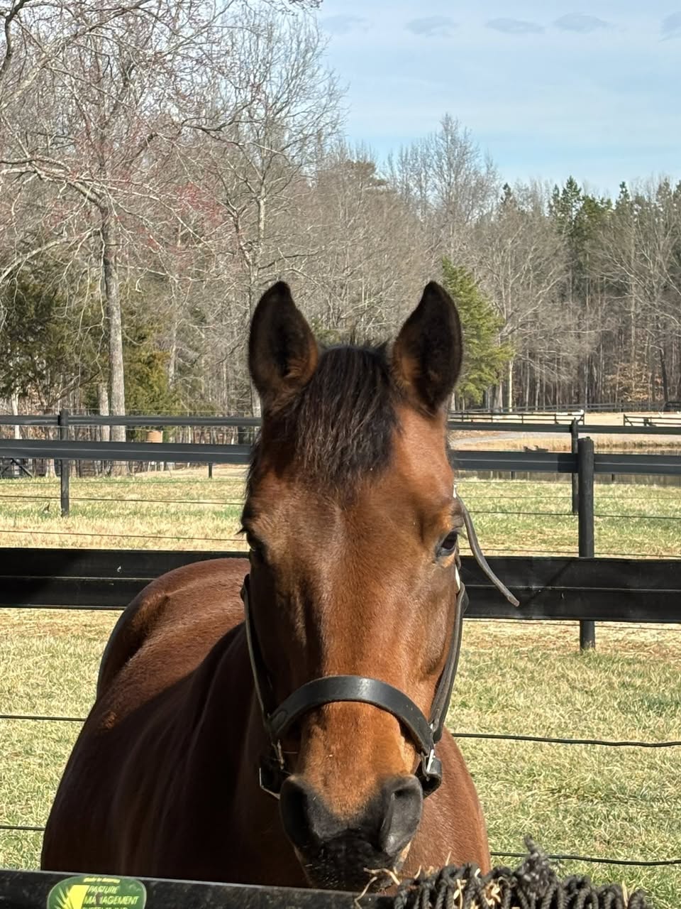 If It Looks Like a Mess, Is&nbsp;It?