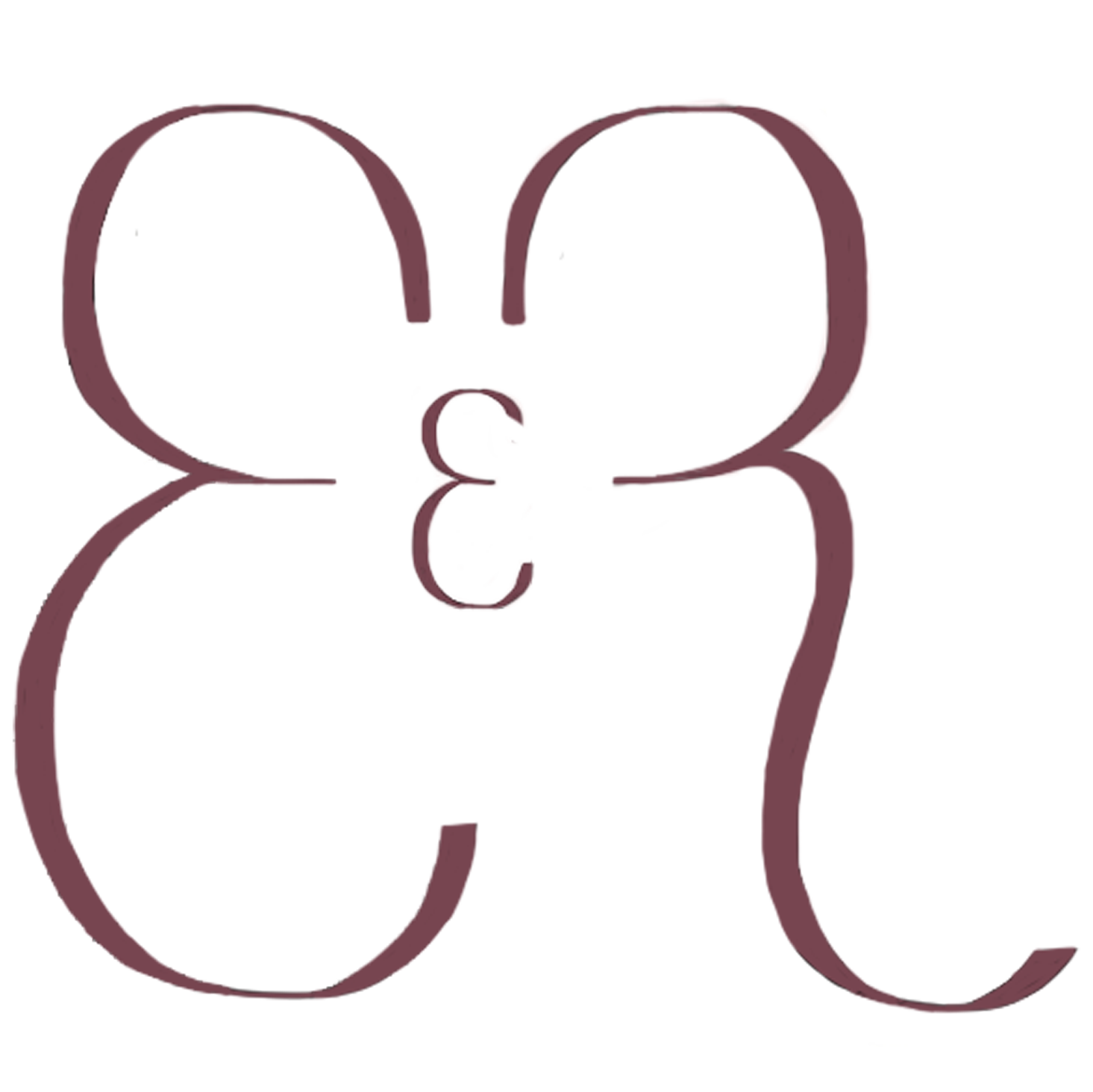 Equine Energy Reflections